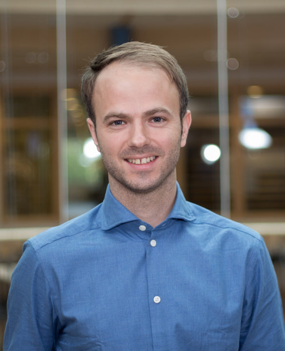 Fredrik Lysholm, Sectra