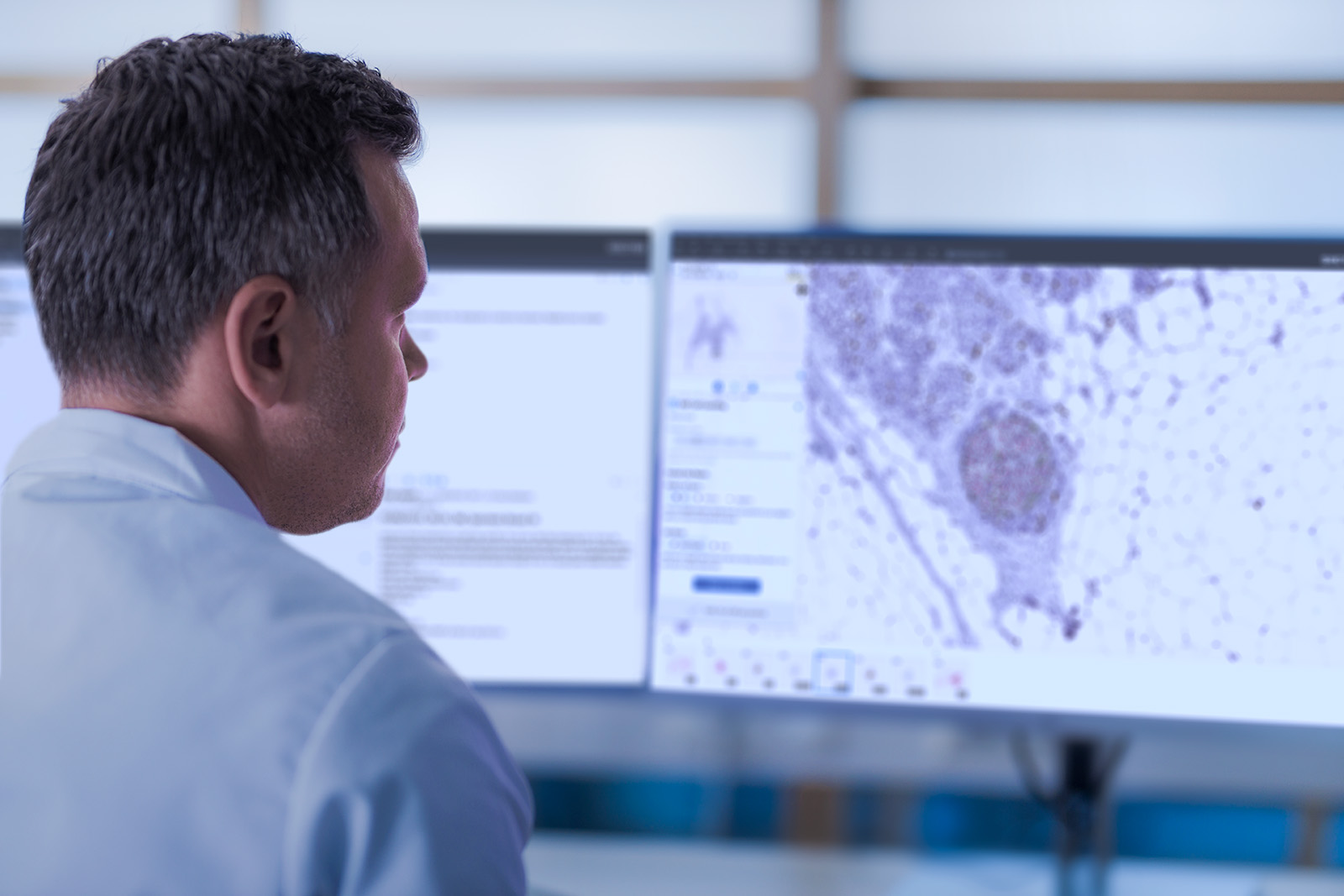 Male pathologist sitting in front of a monitor studying a case